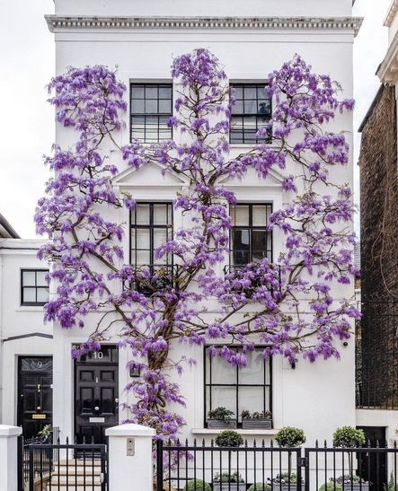 Image via @sparrowinlondon