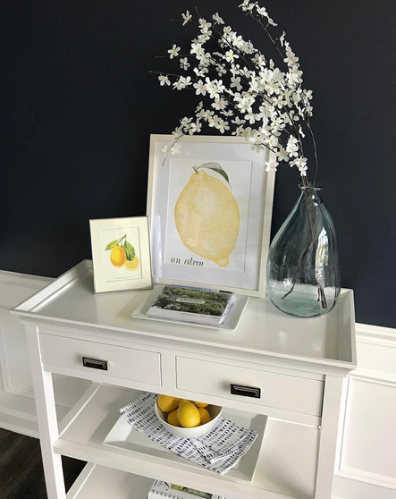 Design & Photo from @cornflakedreams |Hale Navy by Benjamin Moore