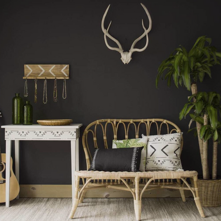 Design by Rachel Kate Design | Photo by Wagner Spraytech | Onyx by Benjamin Moore
