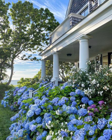 Industry Spotlight | Creating Livable Spaces with Sandra Cavallo of Old Silver Shed