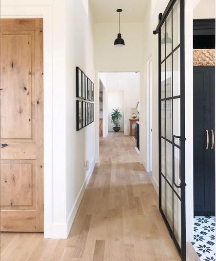 Our Top Instagram Posts of 2019