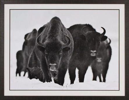 Gallery image 1