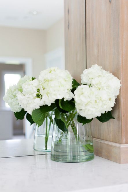 Home Reveal | LakeView Part II