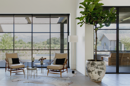Larger than life | A distressed potted plant brings all that beautiful greenery indoors to enjoy year-round.