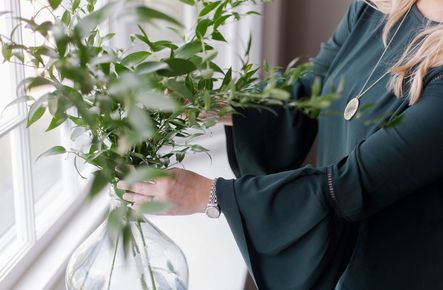 Go-To Greenery | The Best Plants for Home Styling