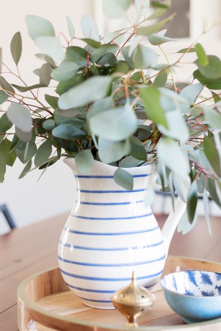 Go-To Greenery | The Best Plants for Home Styling
