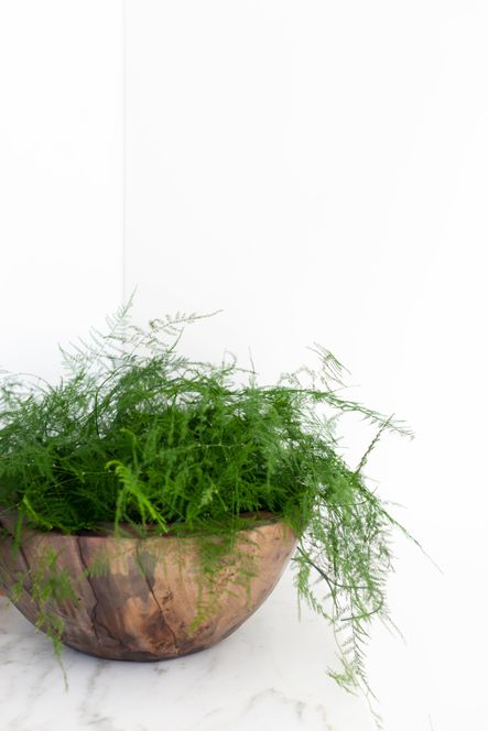SHOP THE LOOK: Reclaimed Wood Bowl
